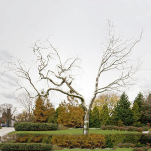 Large Metal Tree Sculpture