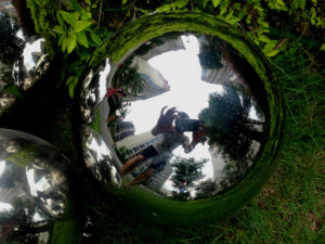 stainless steel gazing ball